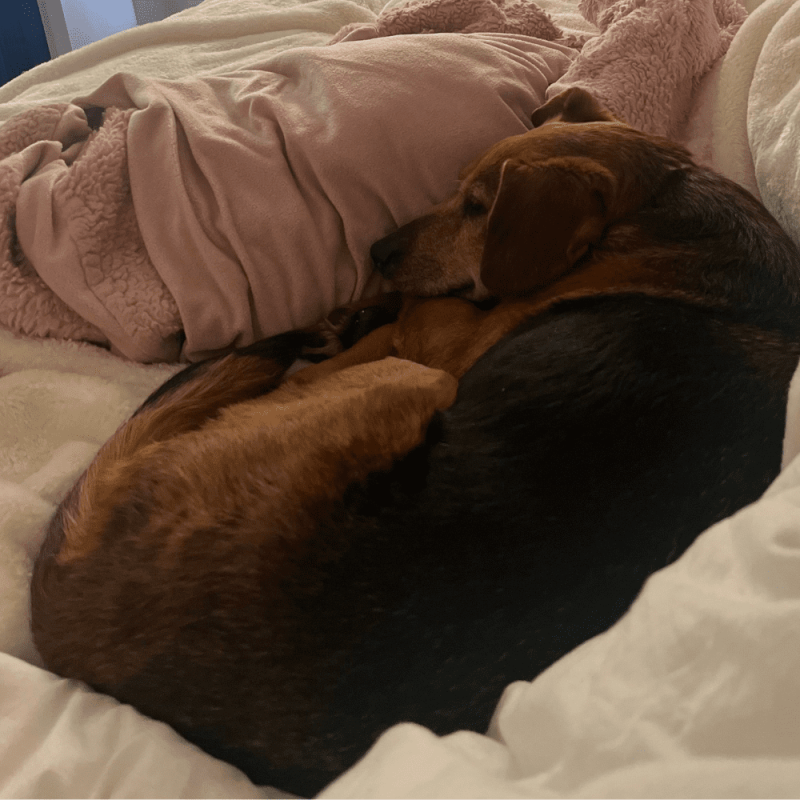 Website 1000x1000 (15)