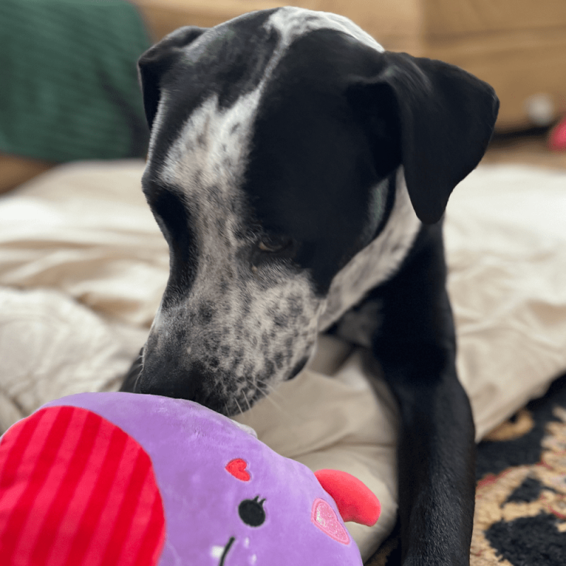 Website 1000x1000 (16)