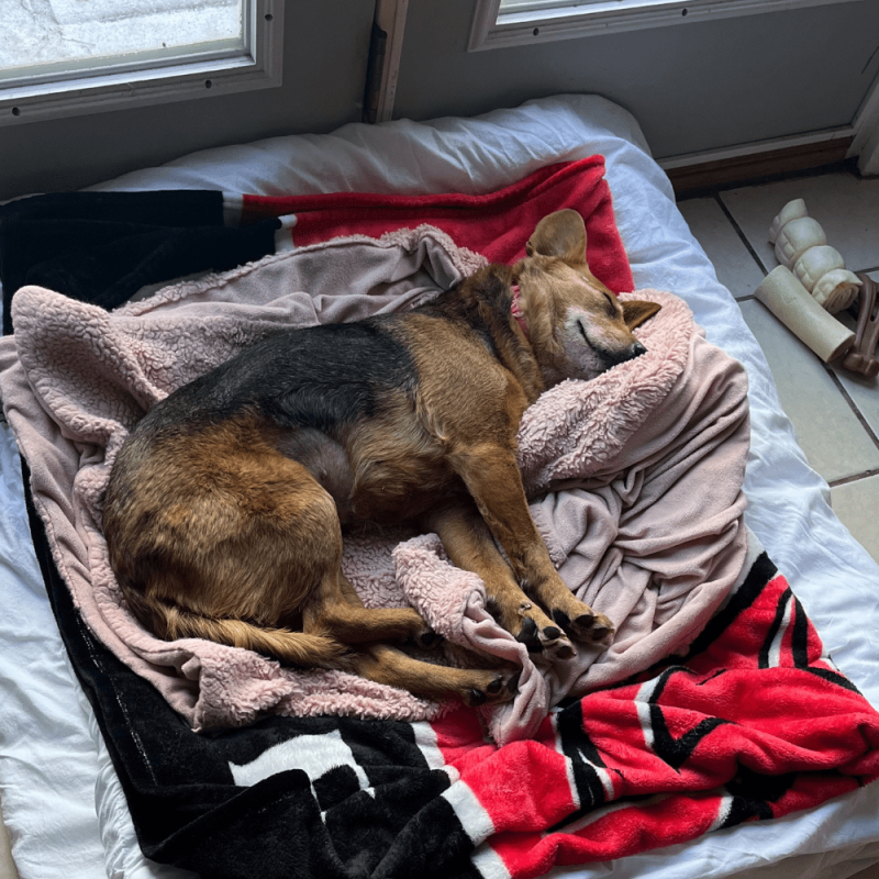 Website 1000x1000 (16)