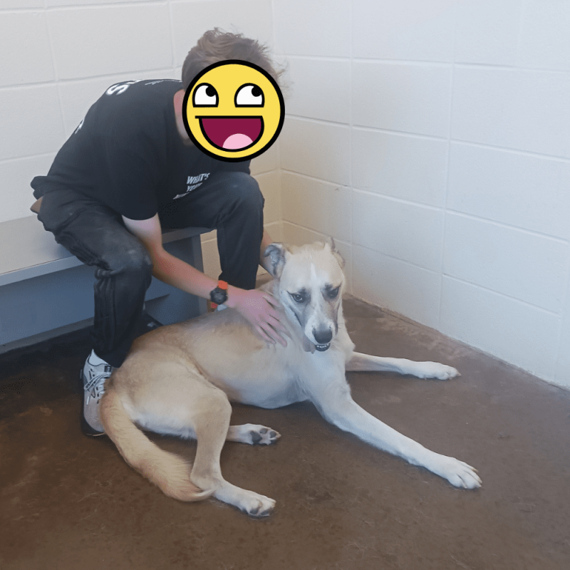 Website 1000x1000 (17)