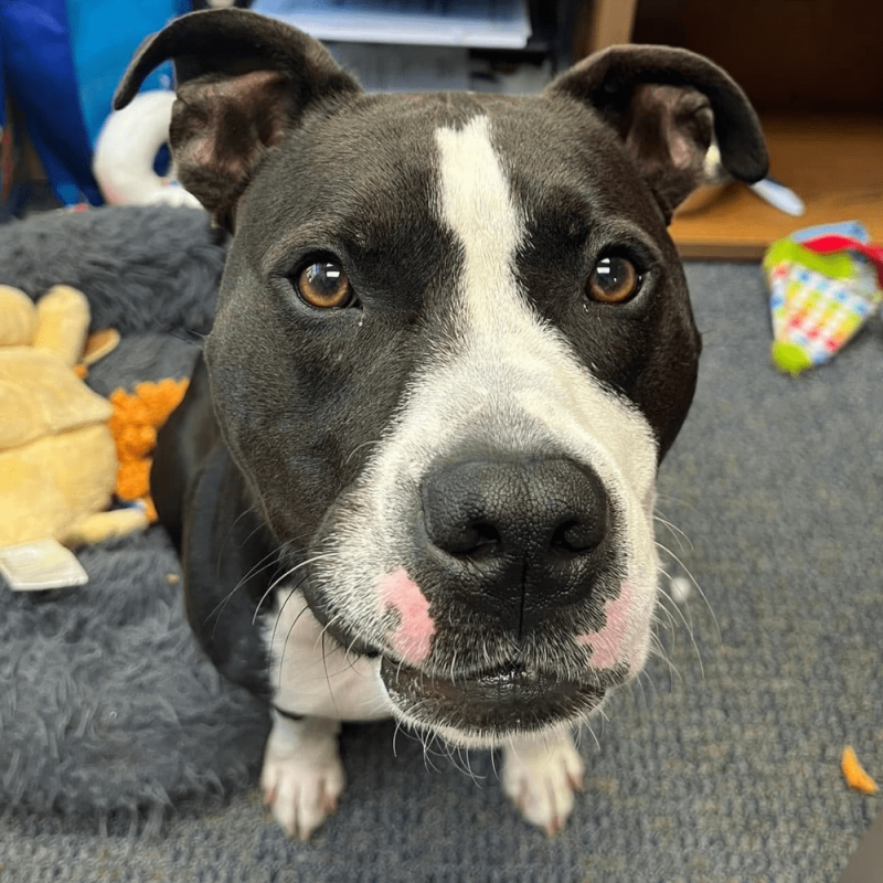 Website 1000x1000 (17)