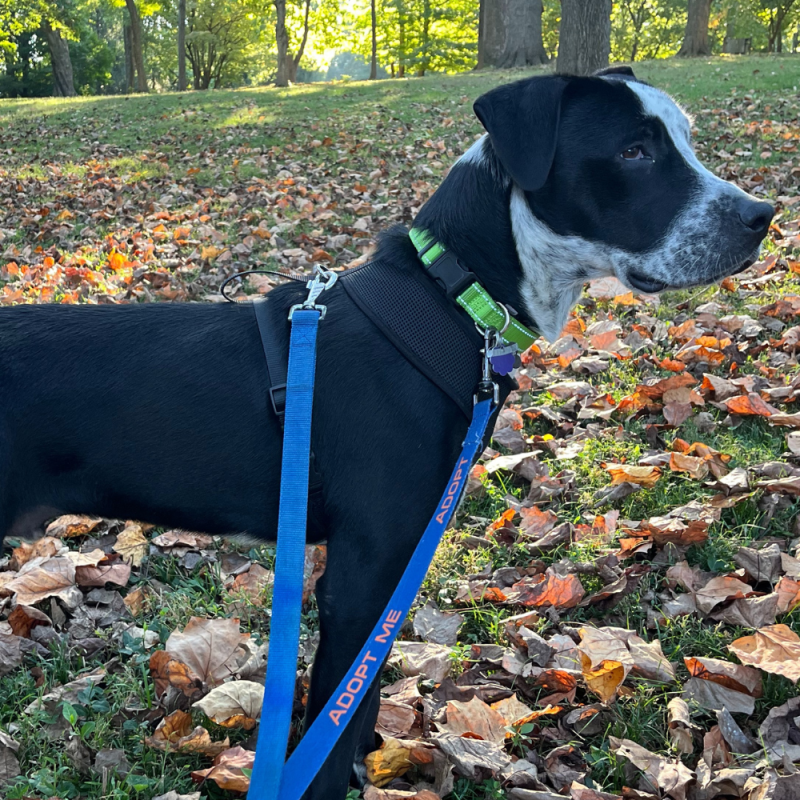 Website 1000x1000 (17)