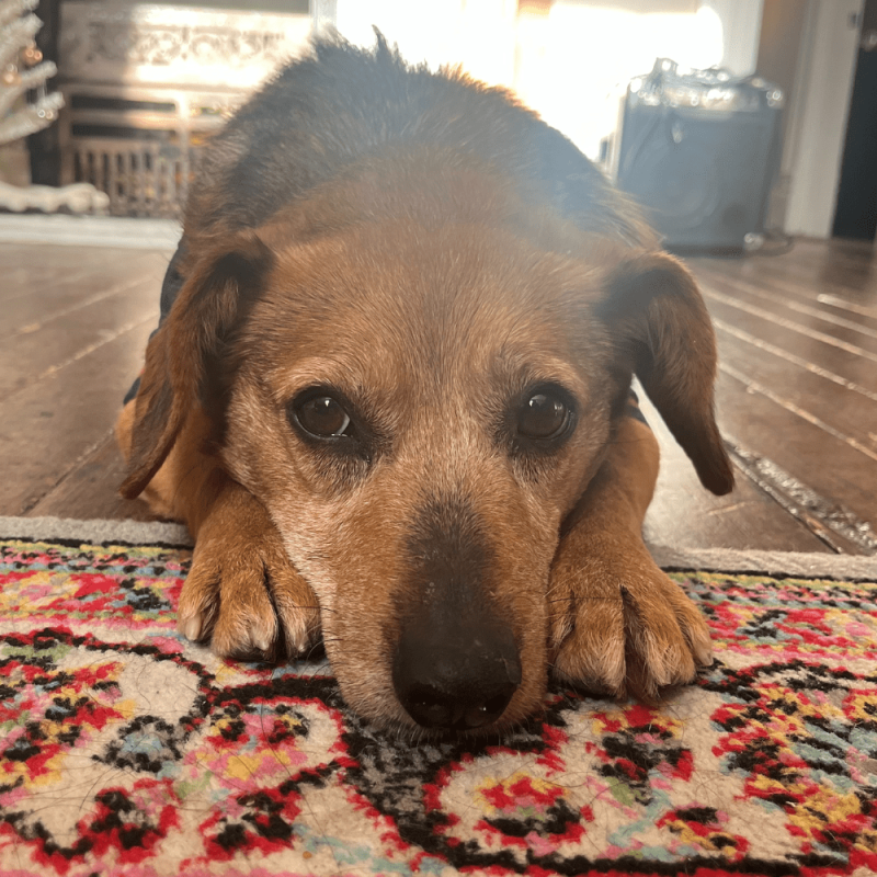 Website 1000x1000 (17)