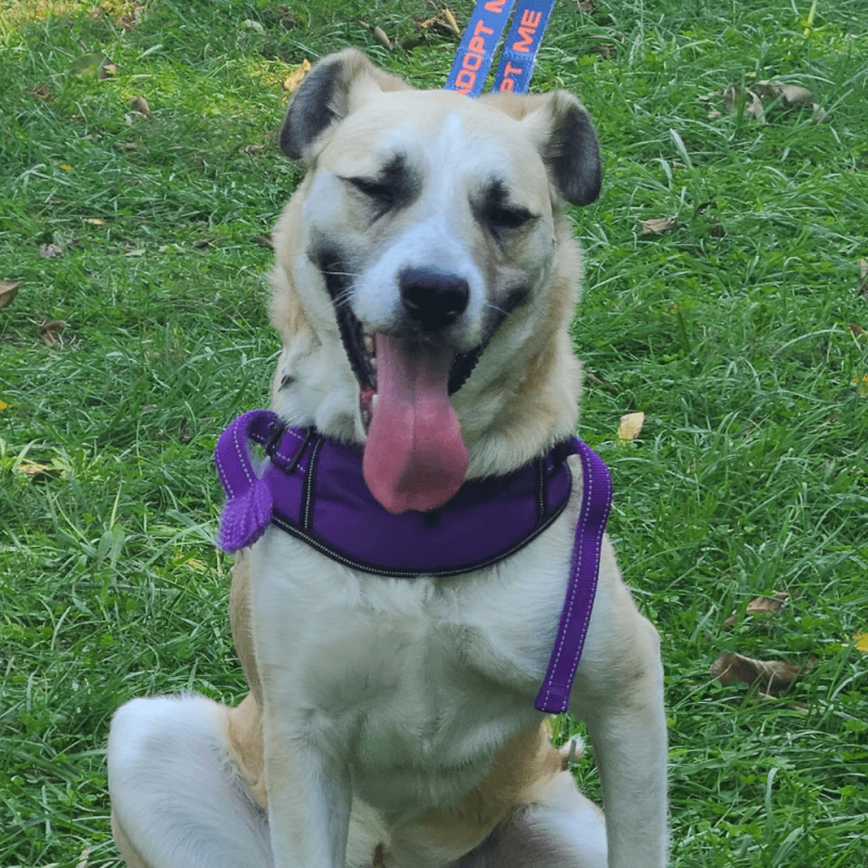 Website 1000x1000 (18)