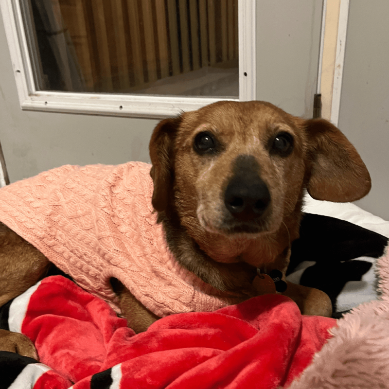 Website 1000x1000 (18)