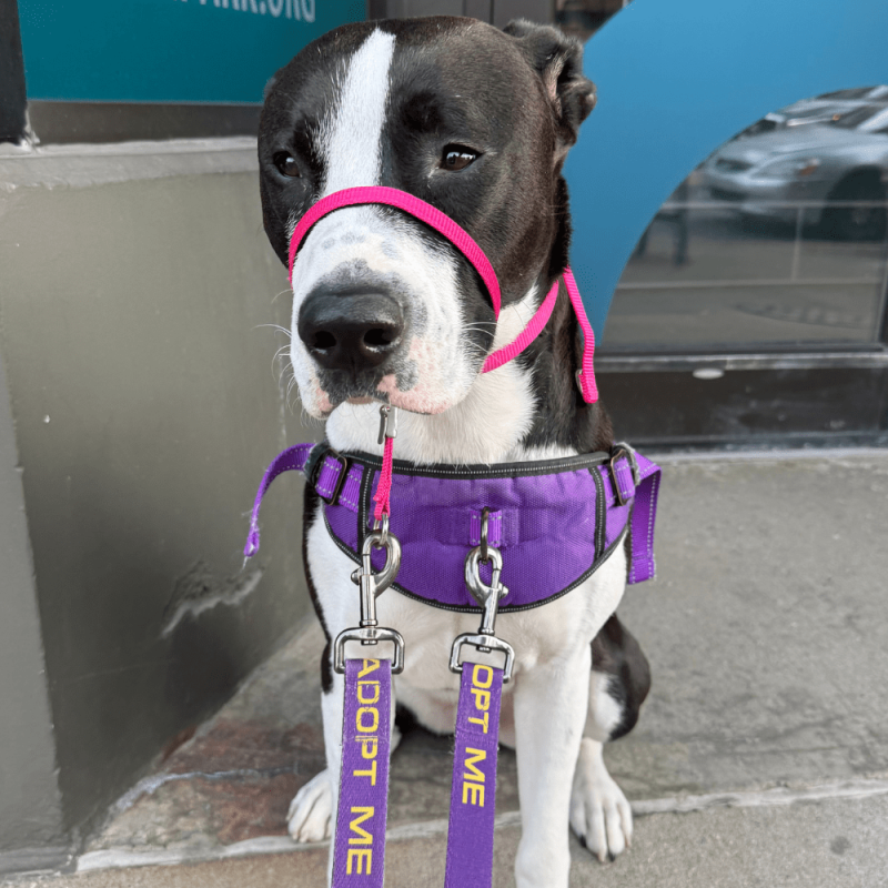 Website 1000x1000 (19)