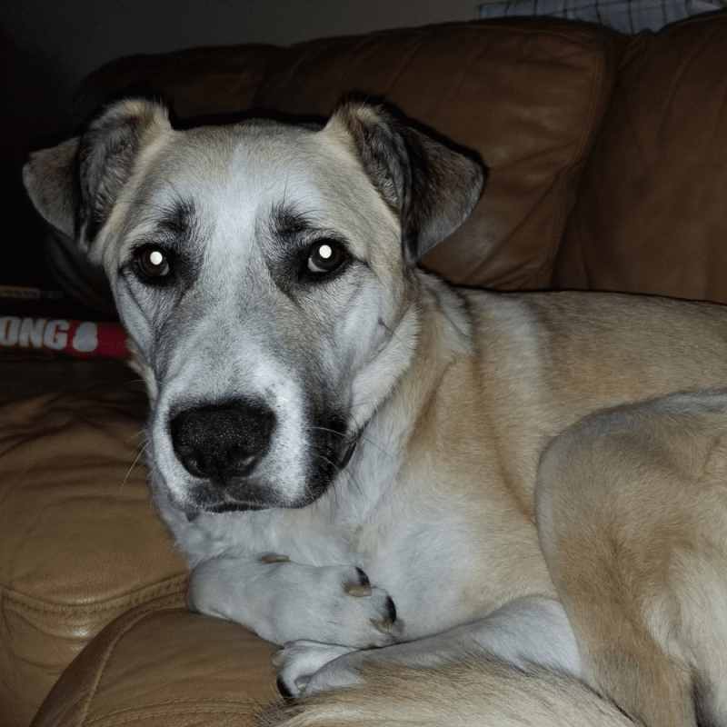 Website 1000x1000 (19)