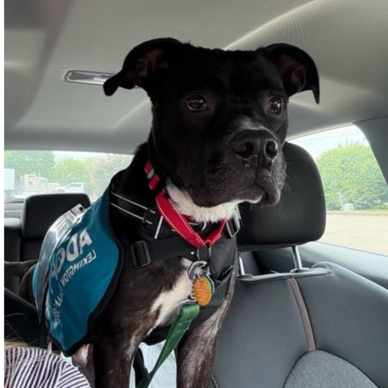 Website 1000x1000 (2)