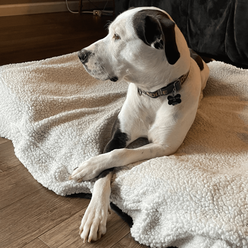 Website 1000x1000 (2)