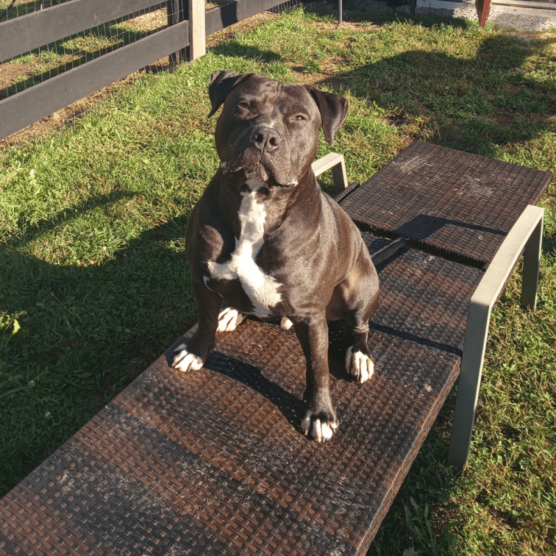 Website 1000x1000 (2)