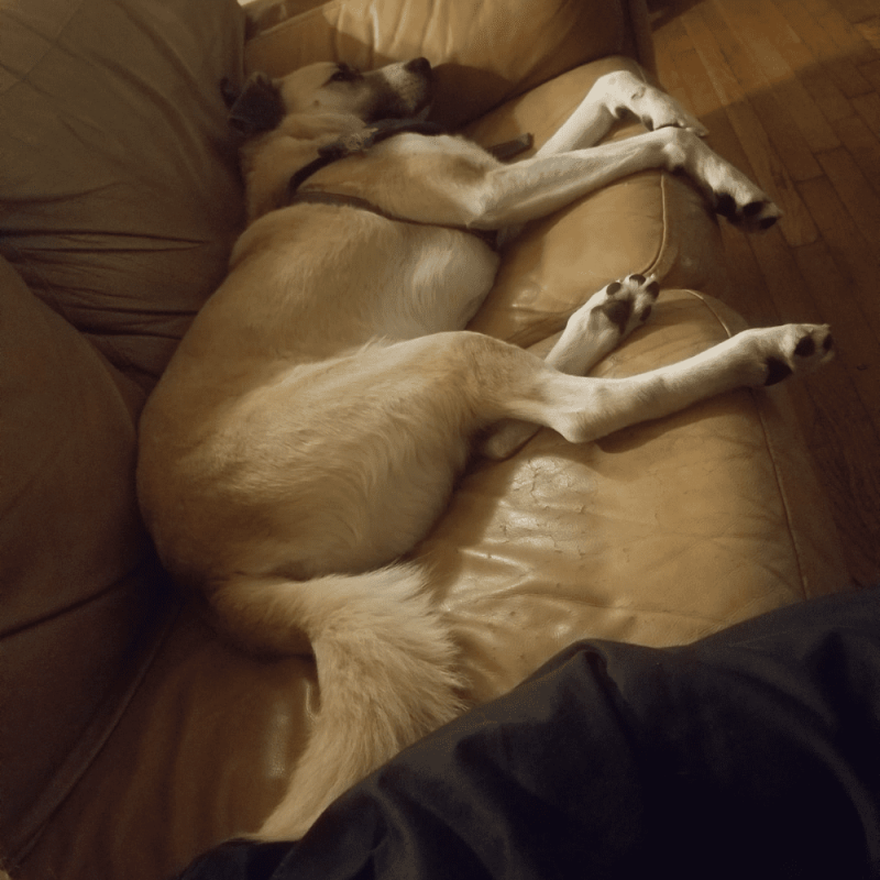 Website 1000x1000 (20)