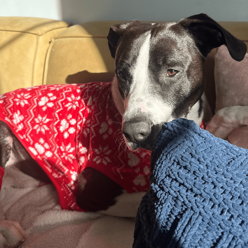 Website 1000x1000 (20)