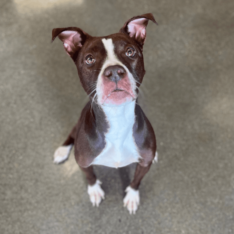 Website 1000x1000 - 2025-07-13T150728.367