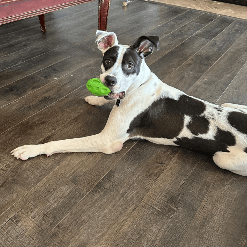 Website 1000x1000 - 2025-07-23T164748.860