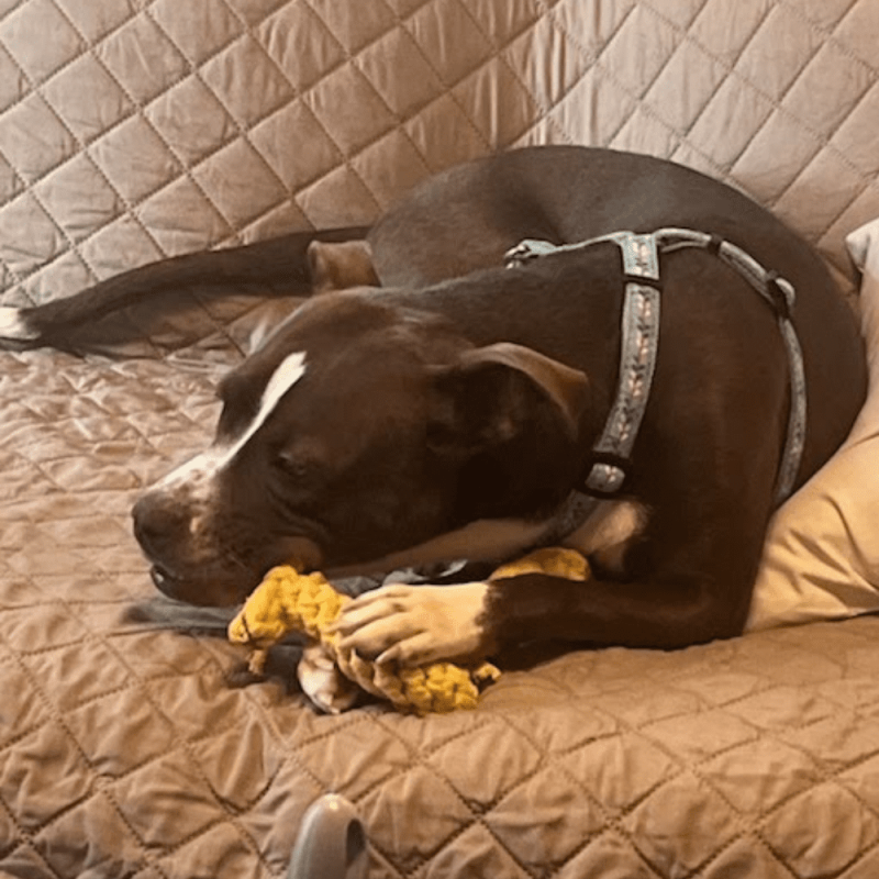 Website 1000x1000 - 2025-07-24T131321.122