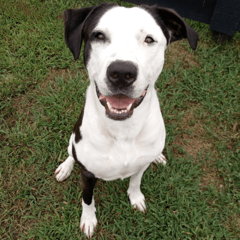 Website 1000x1000 - 2025-08-01T112423.462