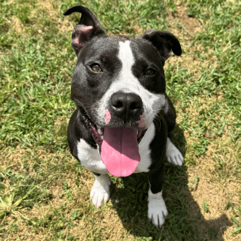 Website 1000x1000 - 2025-08-07T102142.831