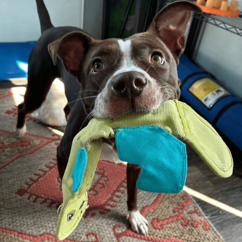 Website 1000x1000 - 2025-08-11T173331.998