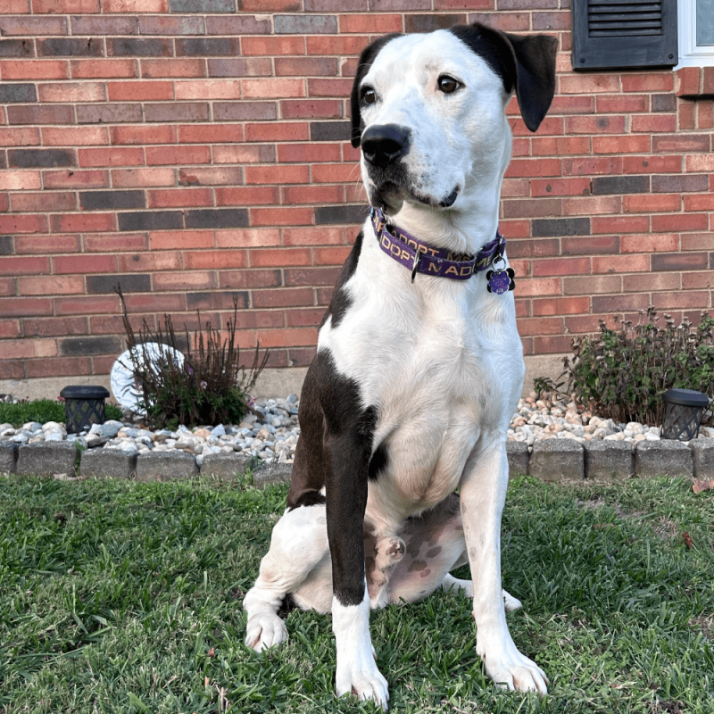 Website 1000x1000 - 2025-11-15T101508.892