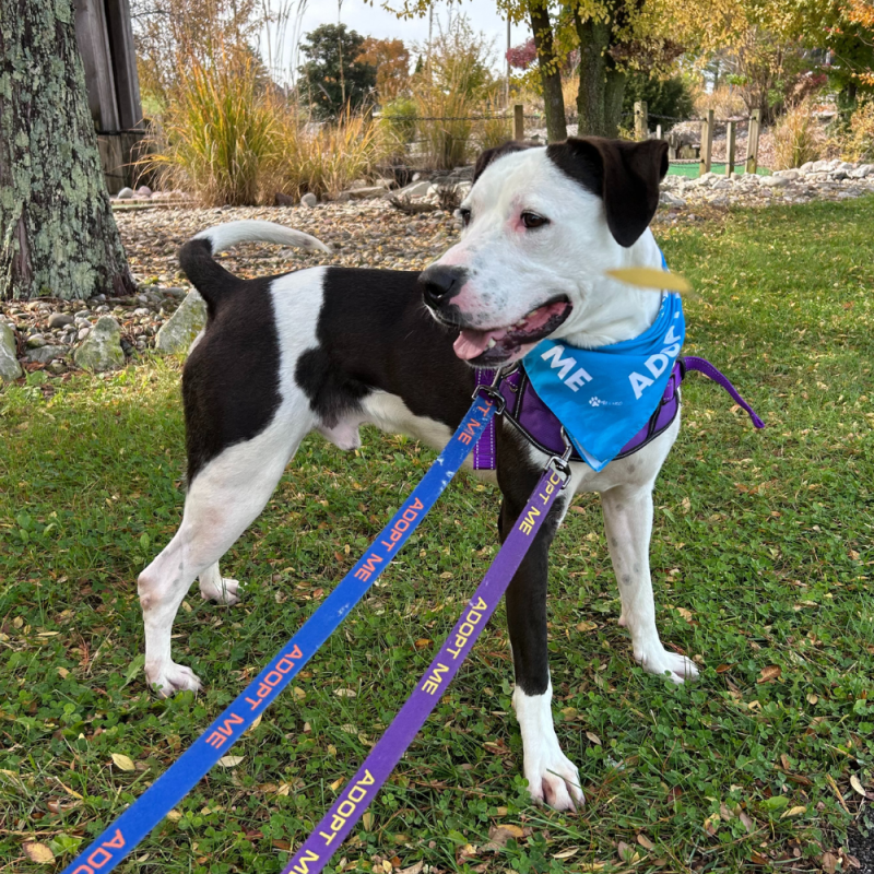 Website 1000x1000 - 2025-11-15T101540.810