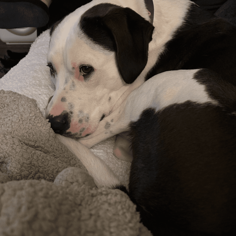 Website 1000x1000 - 2025-11-28T100820.663