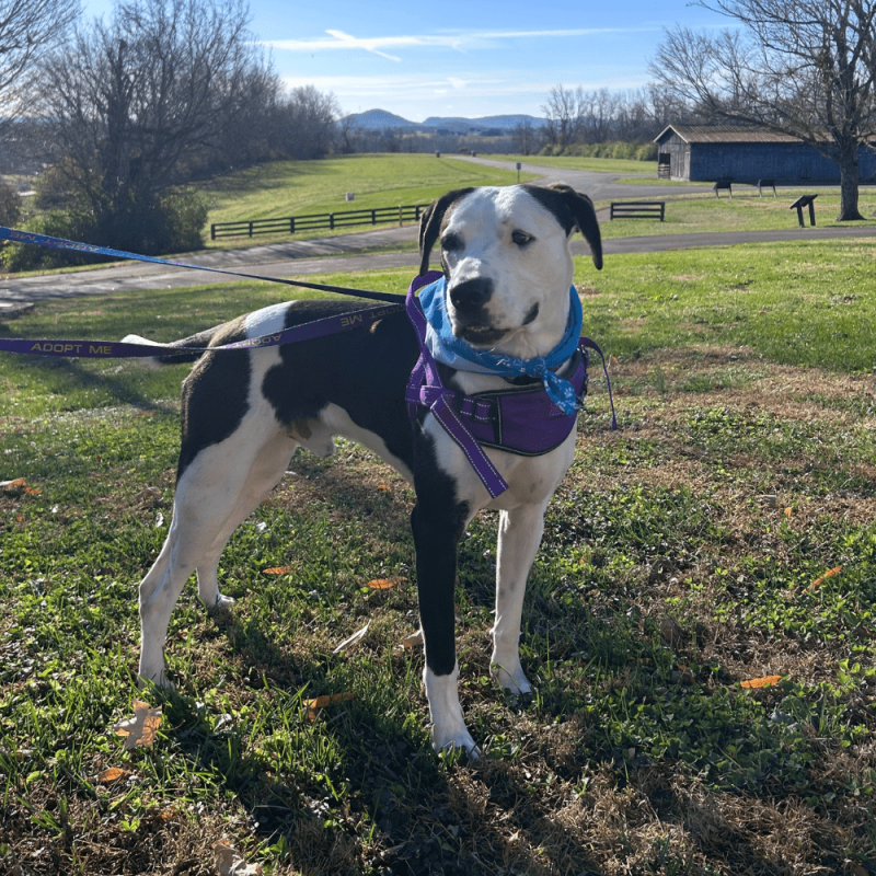 Website 1000x1000 - 2025-11-28T100844.498