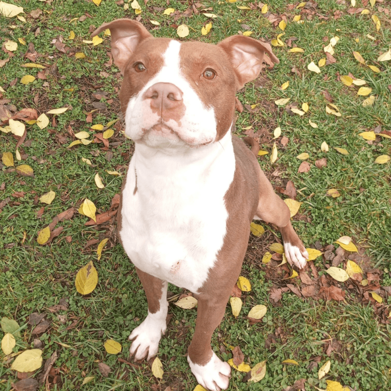 Website 1000x1000 - 2025-11-29T132318.055