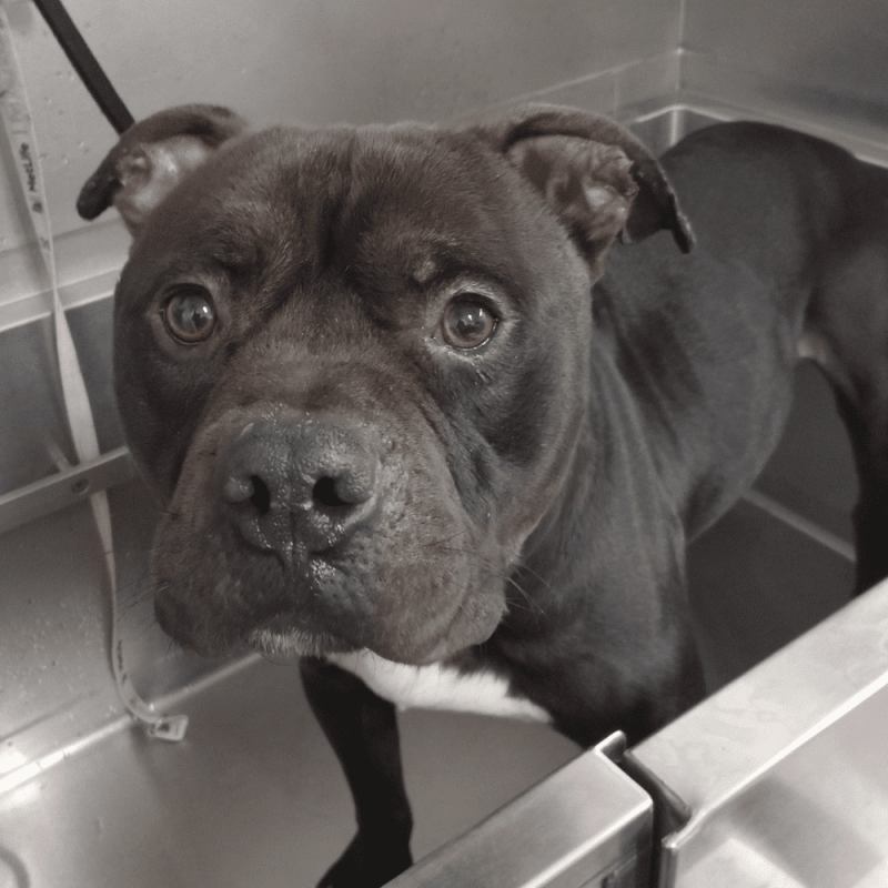 Website 1000x1000 - 2025-12-04T104311.613