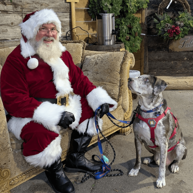 Website 1000x1000 - 2025-12-04T104837.902