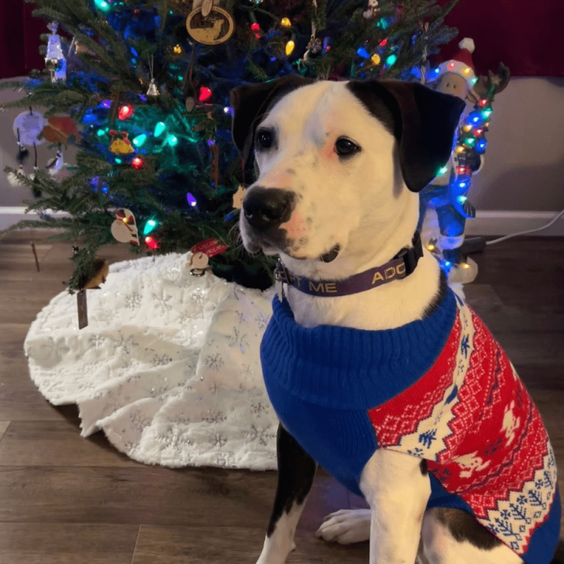 Website 1000x1000 - 2025-12-04T105335.561