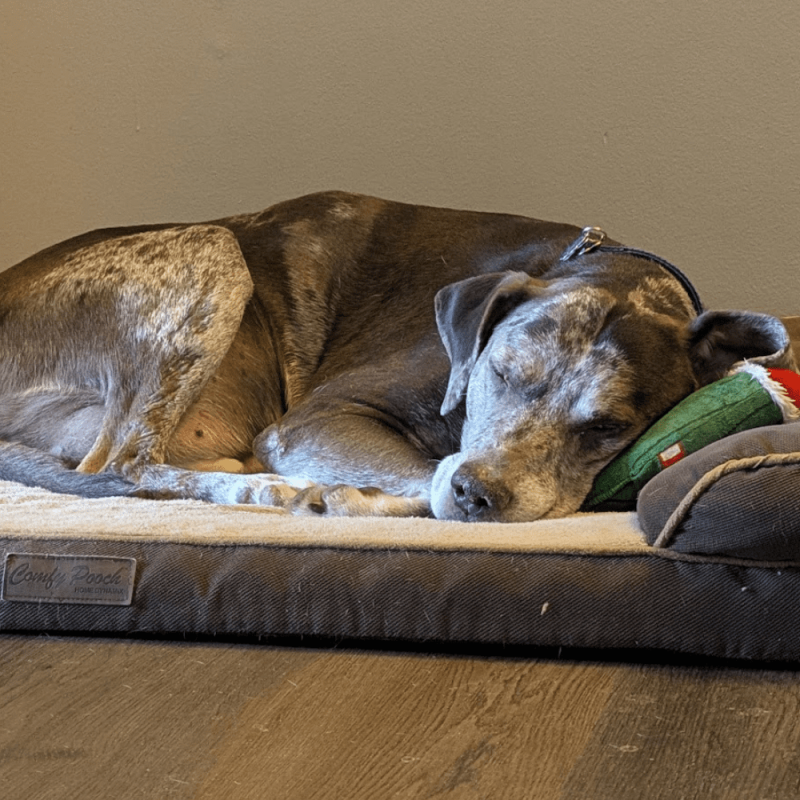 Website 1000x1000 - 2025-12-05T172627.261