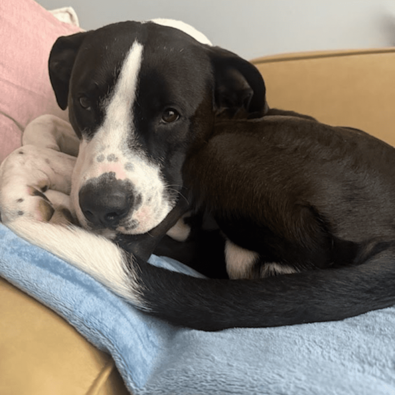 Website 1000x1000 - 2025-12-06T150301.176