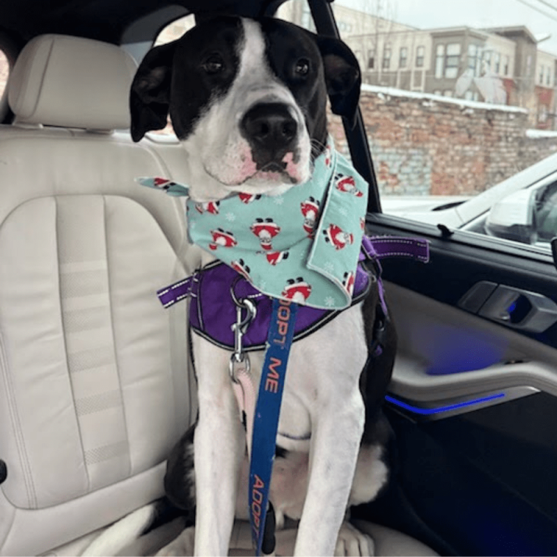 Website 1000x1000 - 2025-12-06T150320.085