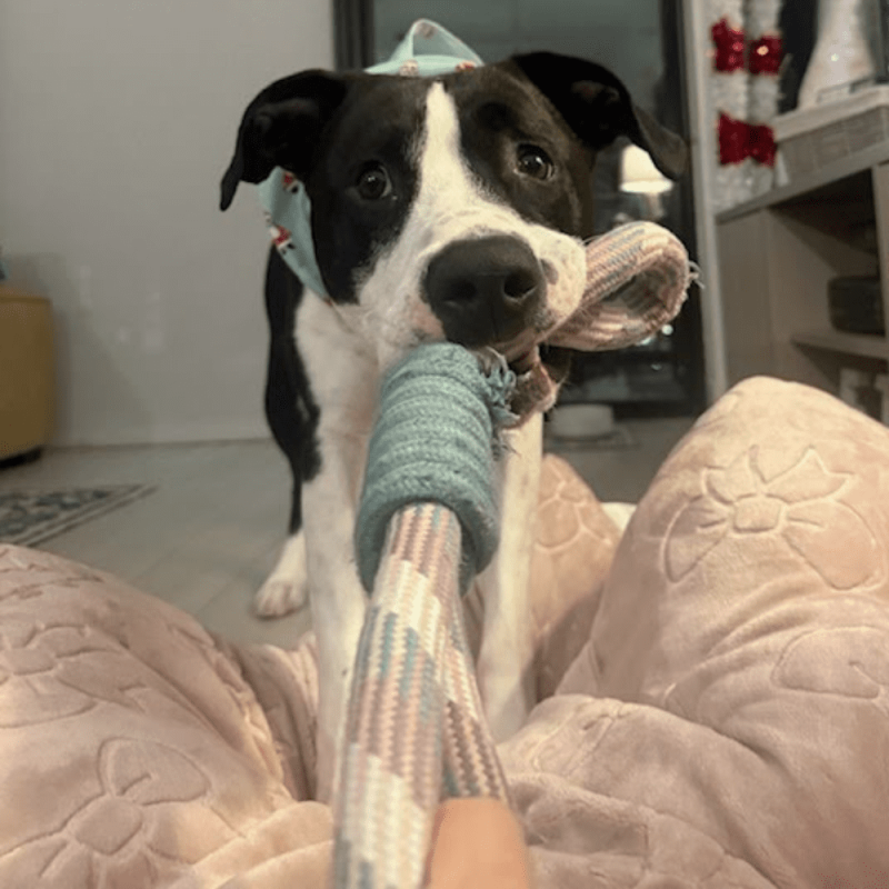 Website 1000x1000 - 2025-12-06T150339.031