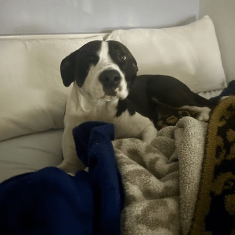 Website 1000x1000 - 2025-12-06T150359.476