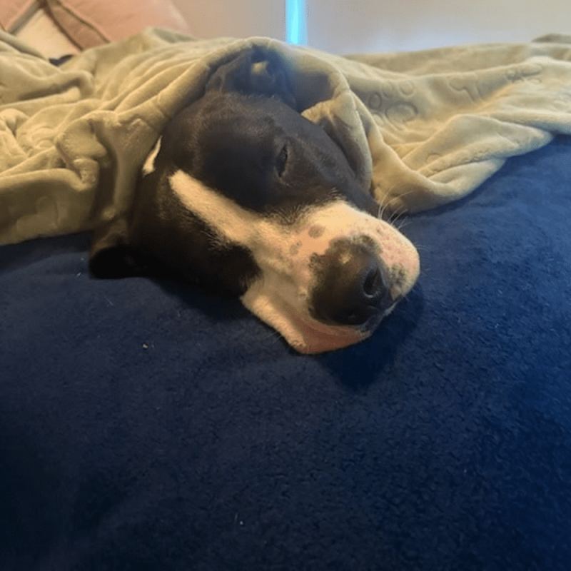 Website 1000x1000 - 2025-12-06T150413.281