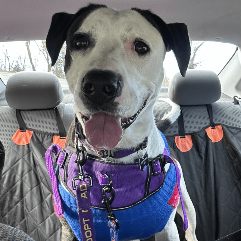 Website 1000x1000 - 2025-12-13T145901.892