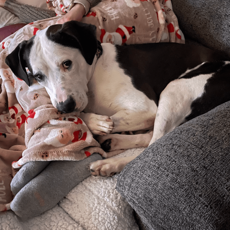 Website 1000x1000 - 2025-12-13T145924.552