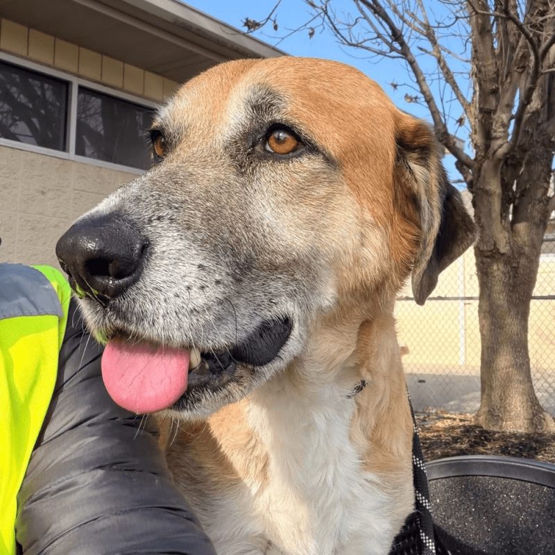 Website 1000x1000 - 2025-12-18T114748.191