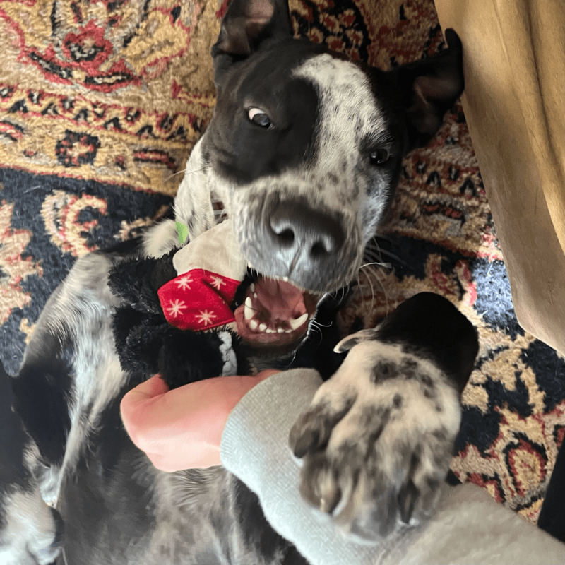 Website 1000x1000 - 2025-12-27T104406.893