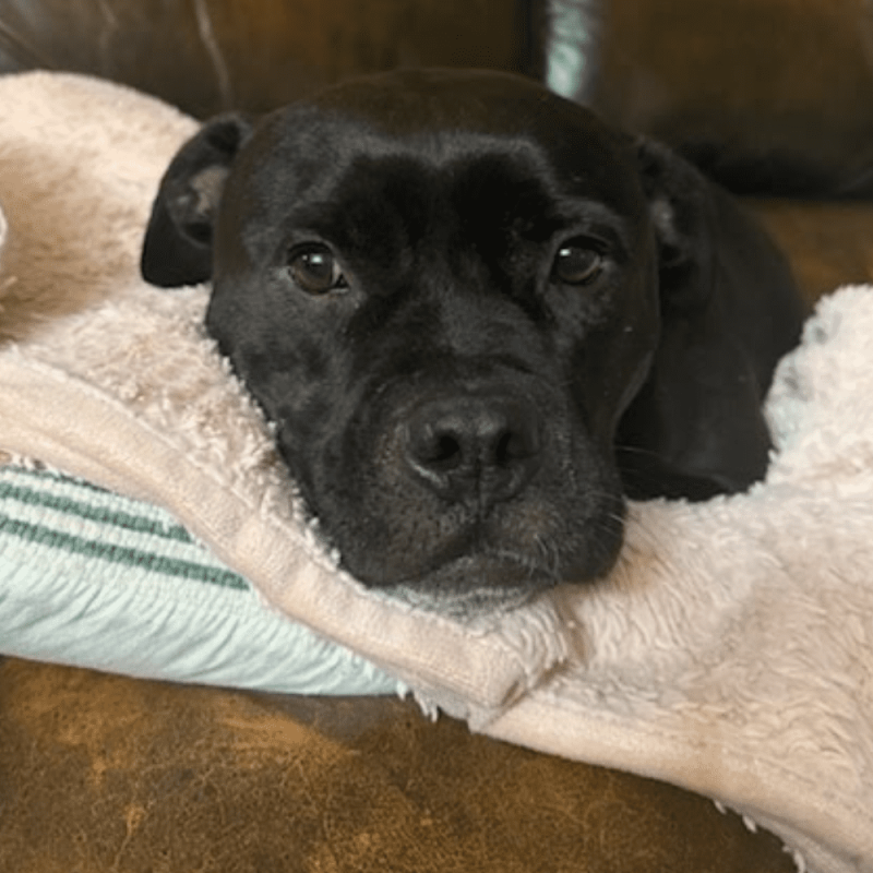 Website 1000x1000 - 2025-12-27T130140.963