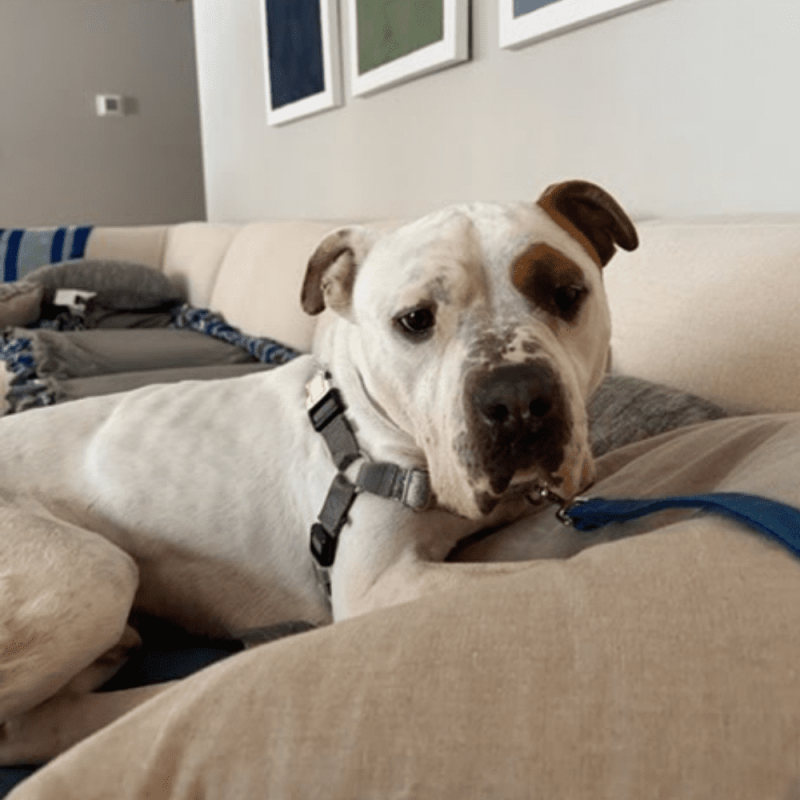 Website 1000x1000 - 2026-02-12T150023.143