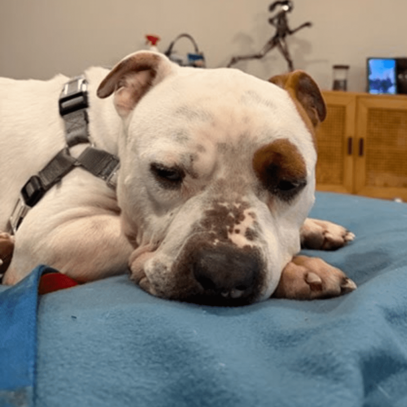 Website 1000x1000 - 2026-02-12T150038.888