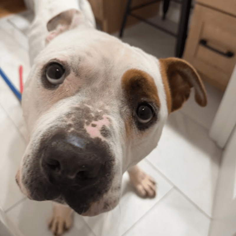 Website 1000x1000 - 2026-02-12T150053.303