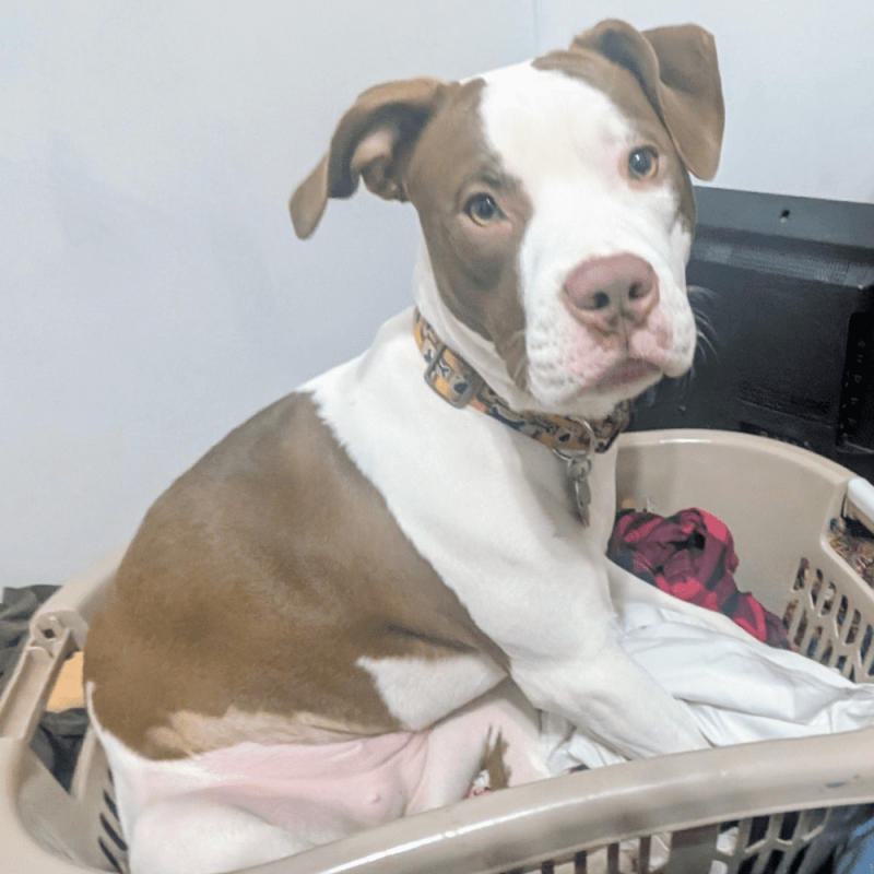 Website 1000x1000 - 2026-02-14T153347.840