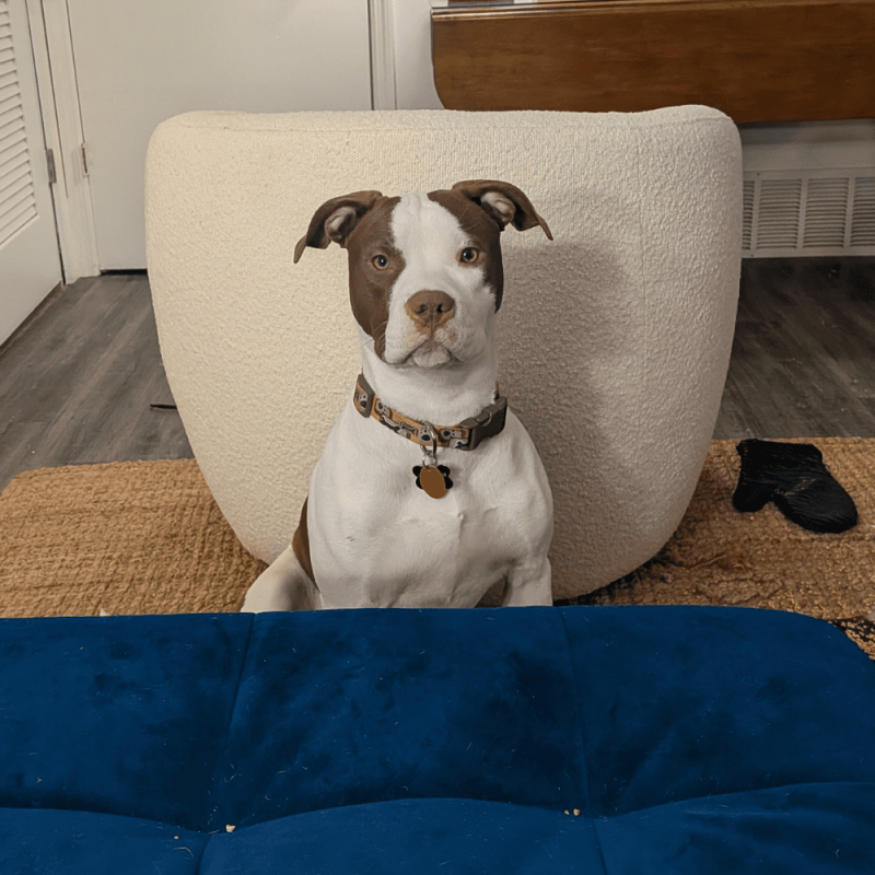 Website 1000x1000 - 2026-02-14T153413.740