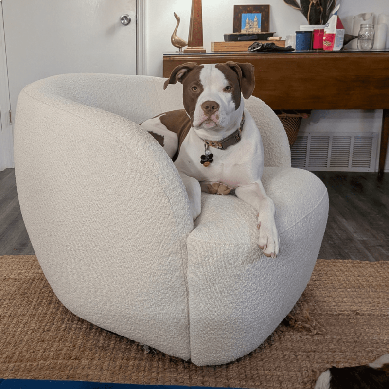 Website 1000x1000 - 2026-02-14T153429.140