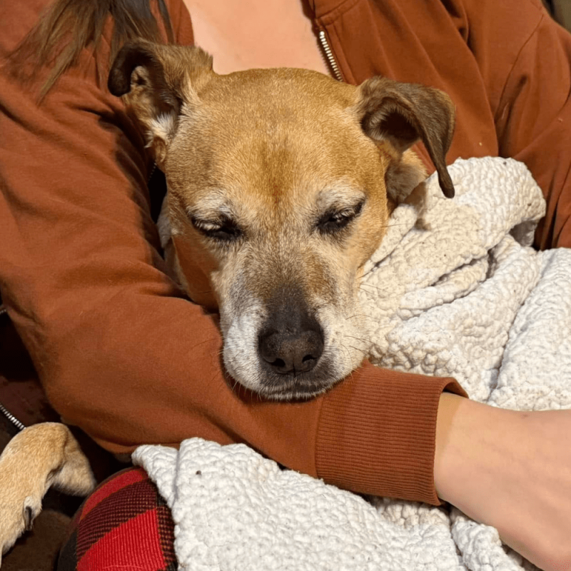 Website 1000x1000 - 2026-02-16T163455.093