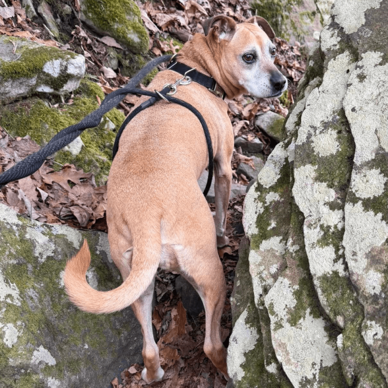 Website 1000x1000 - 2026-02-16T163518.508