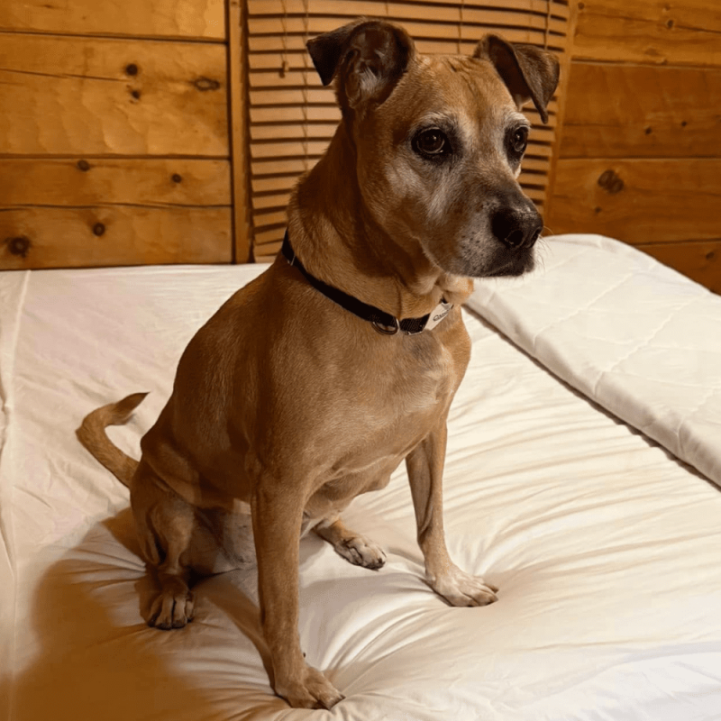 Website 1000x1000 - 2026-02-16T163614.544